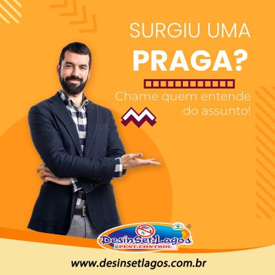 Desinset-Lagos Pest Control em Búzios
