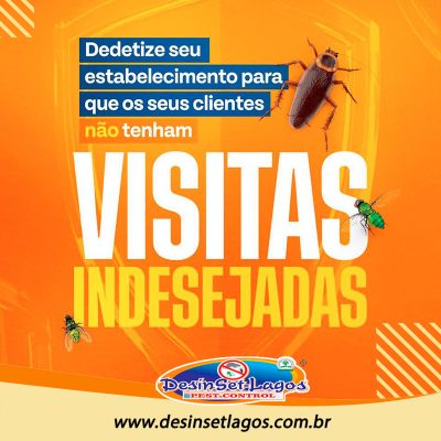 Desinset-Lagos Pest Control em Búzios