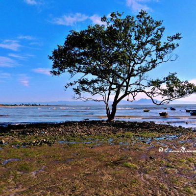 Praias da Gorda