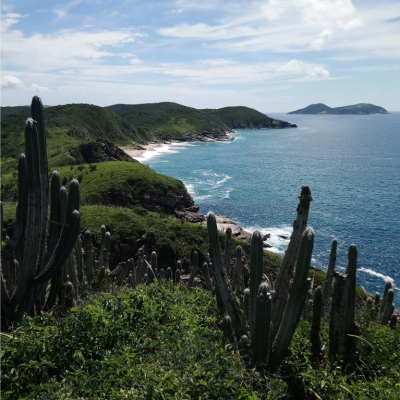Praia Brava
