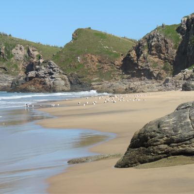 Praia Brava