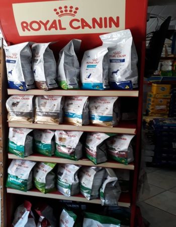 Mr. Cão Rações em Búzios