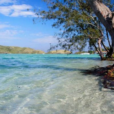 Ilha do Japonês