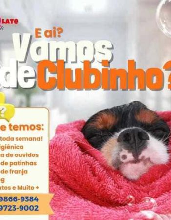 7Qlate Pet Shop em São Pedro da Aldeia