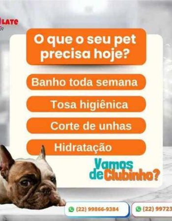 7Qlate Pet Shop em São Pedro da Aldeia