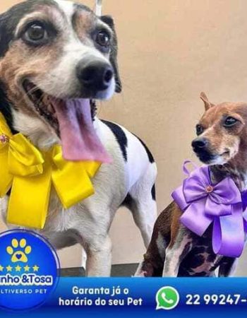 Multiverso Pet em São Pedro da Aldeia