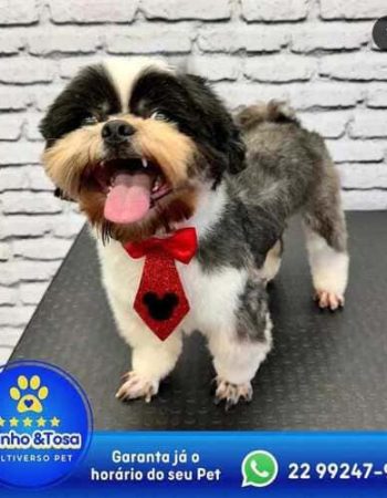Multiverso Pet em São Pedro da Aldeia