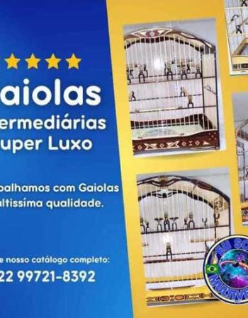 Multiverso Pet em São Pedro da Aldeia