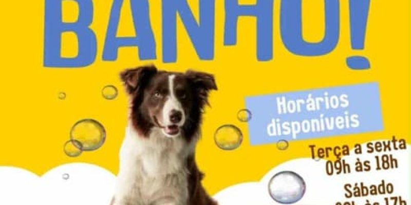 Banho e Tosa Alexandra Mendes em São Pedro da Aldeia