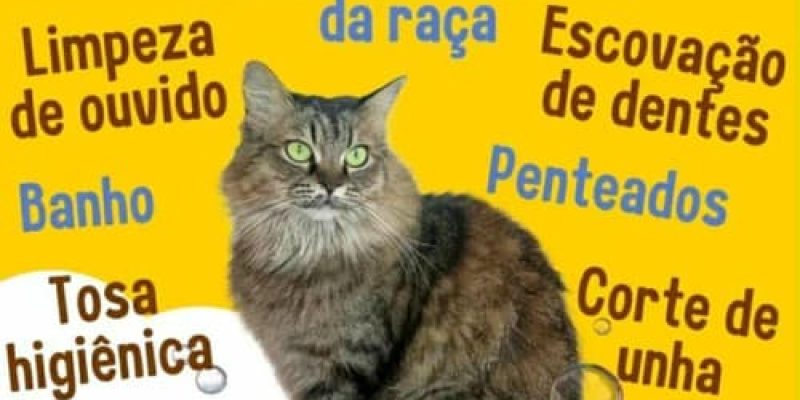 Banho e Tosa Alexandra Mendes em São Pedro da Aldeia